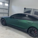 terpz_1#8391's avatar