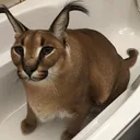 ezmodeboxey
