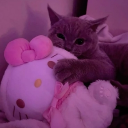 avatar Samira X Tarox <33