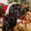 9ba4cf5e2cbfdce938df1b641ce2abbc