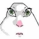 knoxforreal avatar