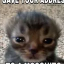 theintellegnte_83869 avatar