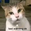 equ4nimity Avatar