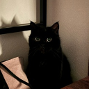 avatar 𝘿𝙖𝙝𝙡𝙞𝙖