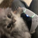 avatar 𝘿𝙖𝙝𝙡𝙞𝙖