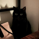 avatar 𝘿𝙖𝙝𝙡𝙞𝙖