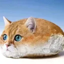 tosta1x