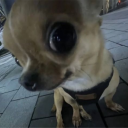 alexandrerodriguesgoogle