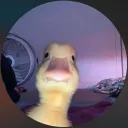 evanj2954