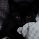 avatar ꪜꫀꪀ 𖠞༄