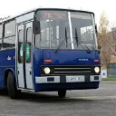 halaslevi01__48905