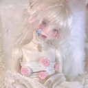 avatar ✩₊˚.⋆☽ཐི🐰ྀིཋྀ⚸⋆⁺₊✧