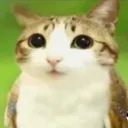 me0wxyz
