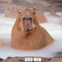 inzanomewineano avatar