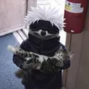 ziggifyy