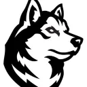 amazingdog0380