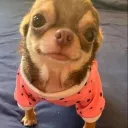 13848484