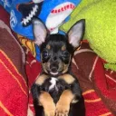 ikerborut_56073 avatar