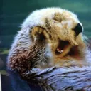 cuteghg