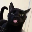 zsharpminor