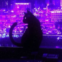 Discord Avatar
