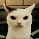 .shoober