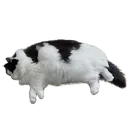 unknokable