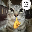 kumaarrr member profile picture