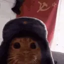meriart