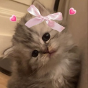 avatar 𝒦𝓏𝒷𝒶𝒶𝓁