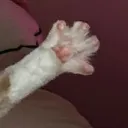 emotionalalmond