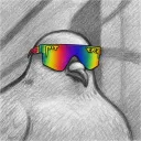 cryptodudeofficial
