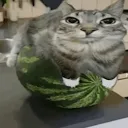 hellogamerlol5 avatar