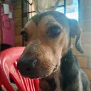 i.am.just.nube avatar