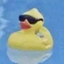 duckykexing