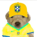 Gui's Avatar