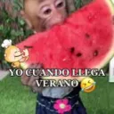 pablo_3175_66265 avatar