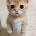 avatar 𝓕𝓛𝓞𝓦