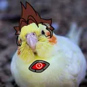 justicekazzy