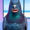 jeromefromcoast