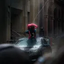 _spidy._.