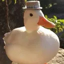 albert_120474