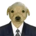 capitangaboo_91131 avatar