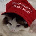 avatar melancholic waffle