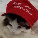 avatar melancholic waffle