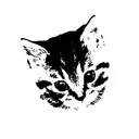 mobinha's avatar