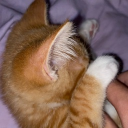 avatar ₉⁹₉𖣂  Xmas 🎄 zcrzy