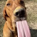 ty_guy0556_05689 avatar