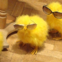 dezjerbanunofficial's Avatar