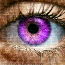 bigbrotheruk